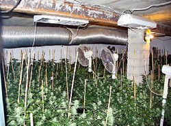 Produkował narkotyk w lepiance pod ziemią