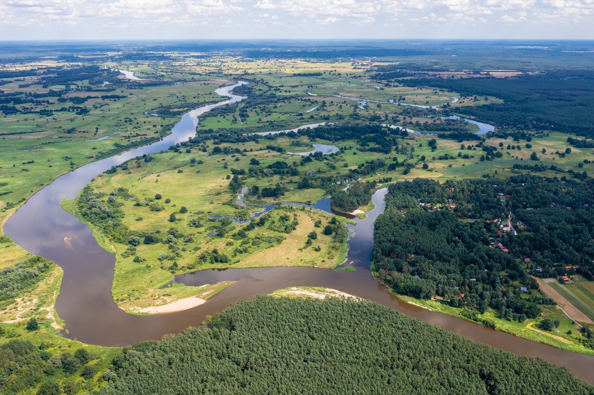 Renaturyzacja rzek się opłaca. "To inwestycja"