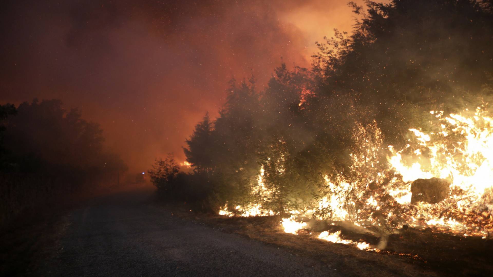 Ogromne pożary w Portugalii wyrządziły szkody przekraczające 85 mln euro