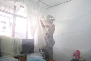 Maribel Gomez, 21, installs a mosquito net over her bed in Cali