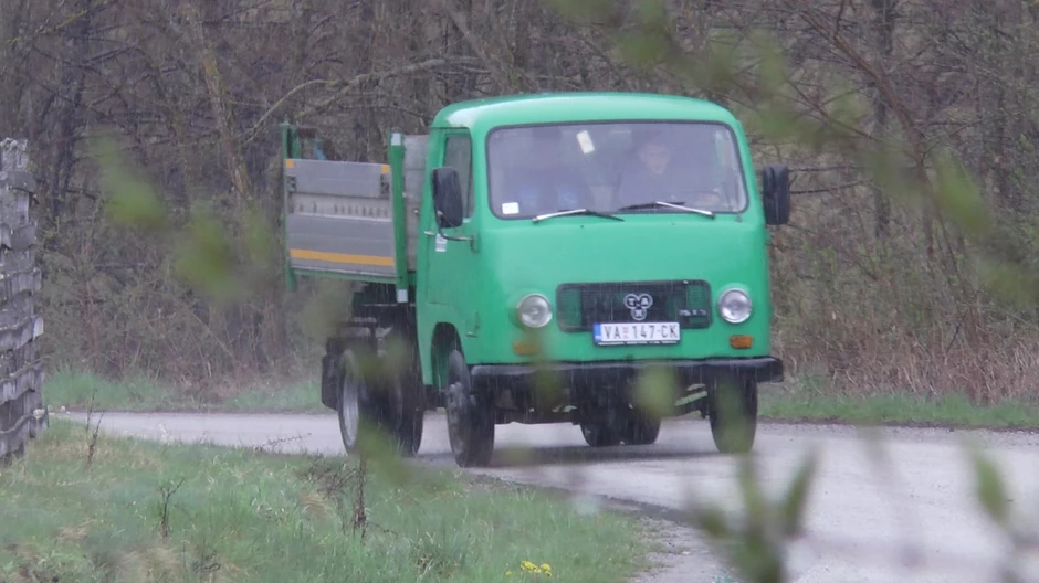 Paja i Jare iz Mladenovca