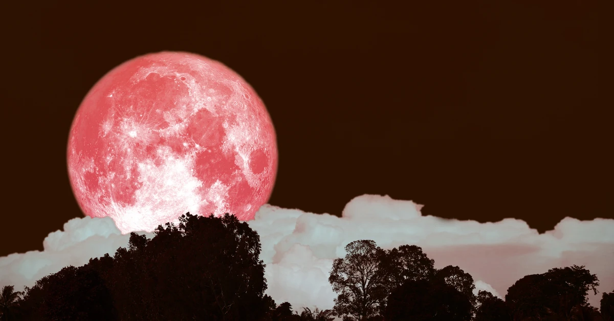 Pełnia Truskawkowego Księżyca w czerwcu 2025. Co oznacza? Jak na nas wpłynie?