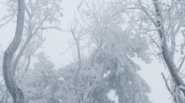 Bár ma és holnap szinte tavasz lesz, a hétvégére azonban igazi decemberi időt kapunk /Fotó: Northfoto/