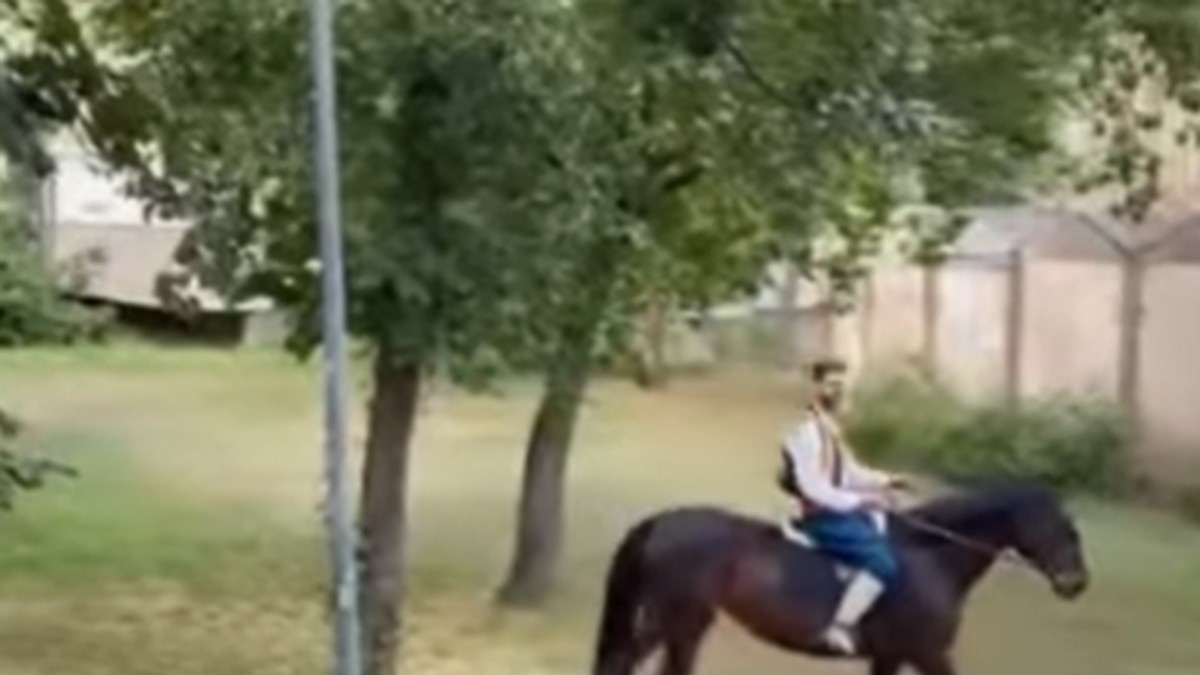 Prosidba u Novom Sadu 