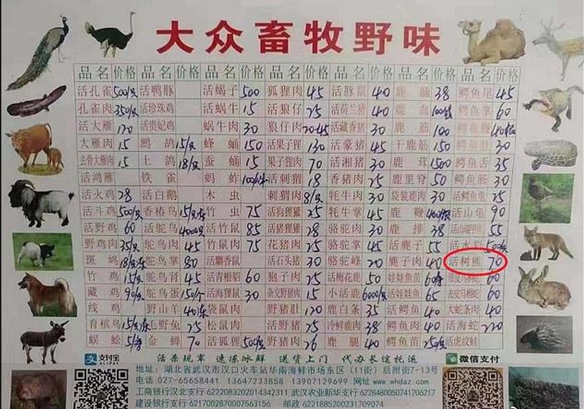 U crvenom krugu: Cena koale na pijaci 