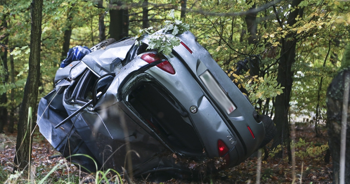 Wypadek pod Zieloną Górą. Auto koziołkowało. Cudem przeżyli