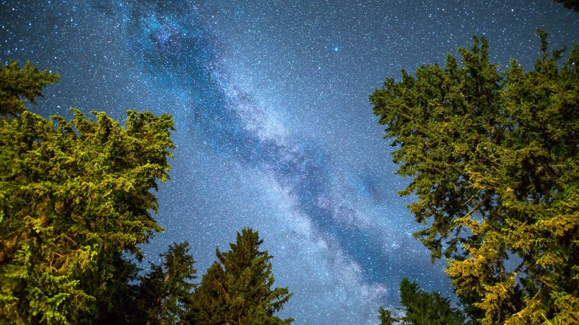 Očekuje nas veličantsvena meteorska kiša