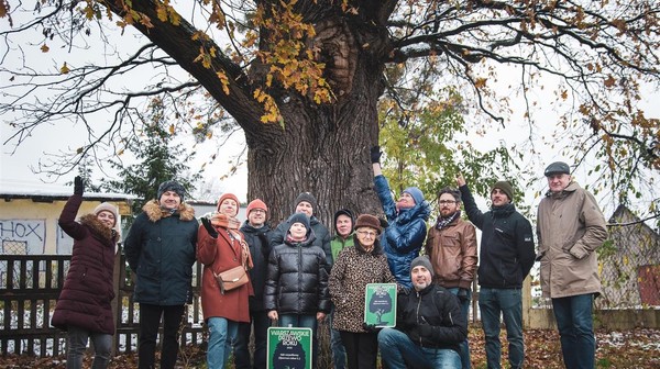 Dąb, nazwany przez mieszkańców Robertem, ma ponad 350 lat. Rośnie na Lewandowie w sąsiedztwie stadniny koni i szkoły podstawowej. Jest jedynym pomnikiem przyrody na wschodniej Białołęce.