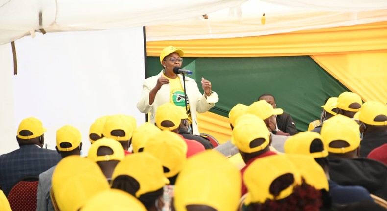 UDA party Secretary-General Veronica Maina during a past delegates meeting