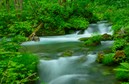 Park Narodowy Towada-Hachimantai