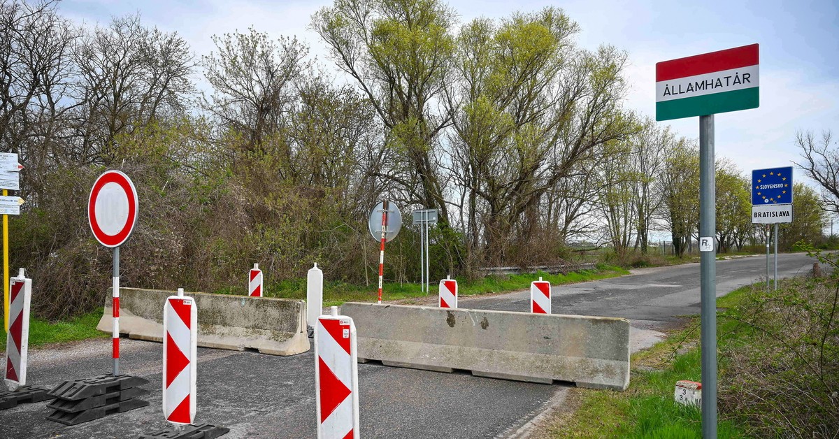 Atak epidemiologiczny na Węgry? Rząd podejrzewa, iż wirus pryszczycy nie powstał naturalnie...
