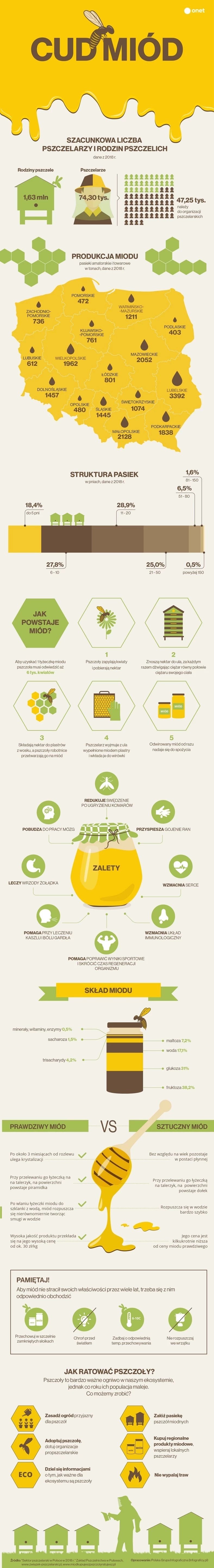 Miód [INFOGRAFIKA]