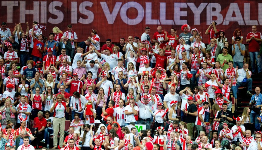 Mistrzostwa świata w siatkówce: kibice na meczu Polska - Niemcy