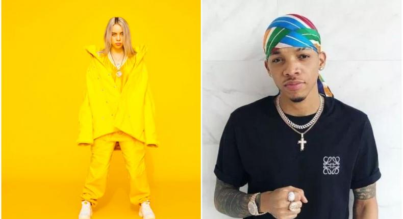 American star, Billie Eilish sings Tekno's 'Agege.' (Coup De Main/GofreshNow)