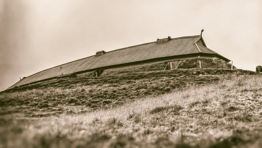 Długi dom wikingów zrekonstruowany na terenie Vikingmuseum w Borg