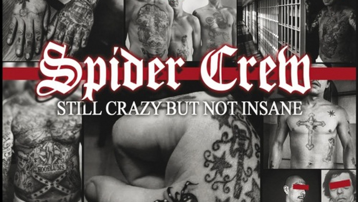Nie ma żartów. Spider Crew - zespół-weteran europejskiego hardcore'a. Takiej zgrai wydziaranych zakapiorów nie chciałbyś spotkać w ciemnej uliczce, choć tak po prawdzie agresji dają oni upust jedynie w muzyce. Tak też ich ostatni album, "Still Crazy But Not Insane" okazuje się ekwiwalentem potężnej fangi od braci Kliczko. Obu naraz.