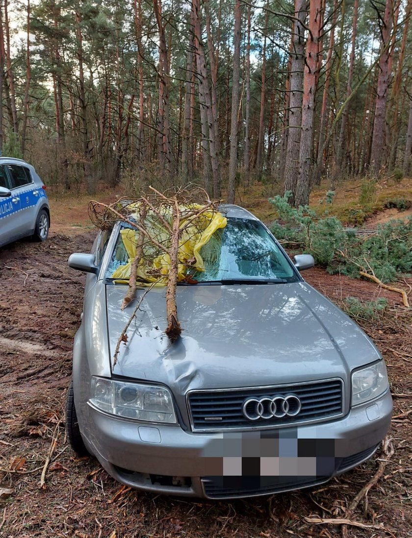 Zabił rapera na pasach i chodzi wolny