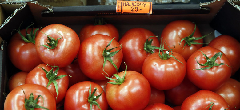 Wzięli pod lupę pomidory z polskich marketów. Zaskakujący wynik badań