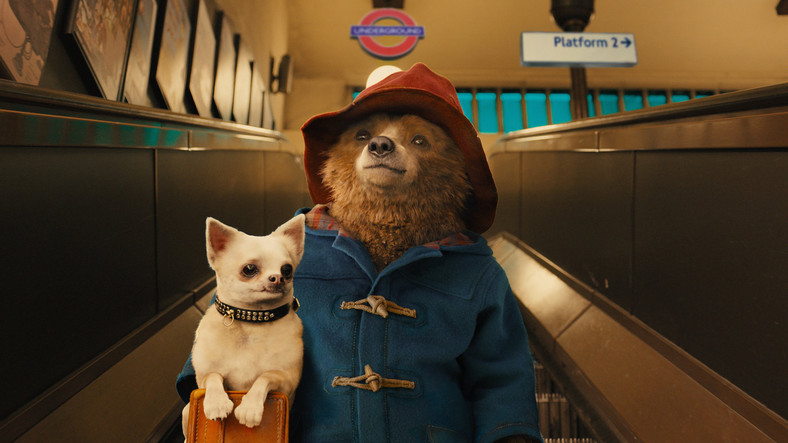 "Paddington" - kadr z filmu