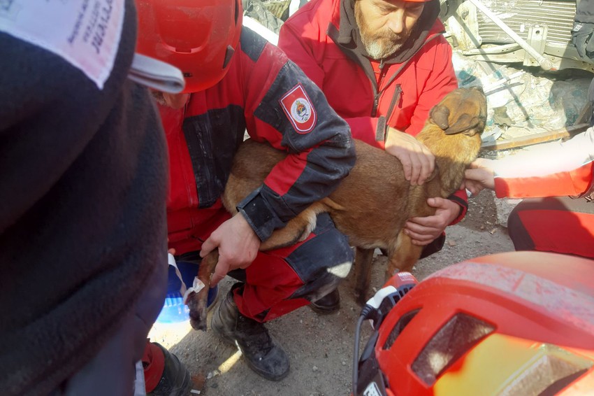 zemljotres-turska-5-4