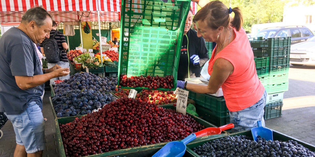 Borówka amerykańska jest jednym z symboli Polski.