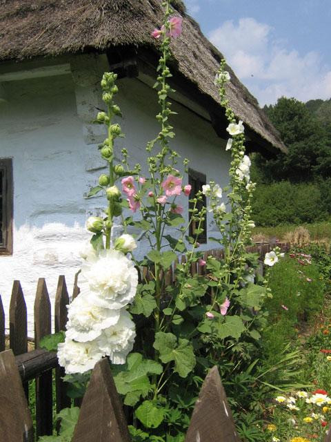 Galeria Polska - Bieszczady, obrazek 7