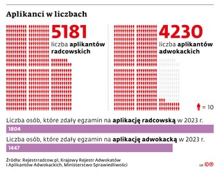 Aplikanci w liczbach