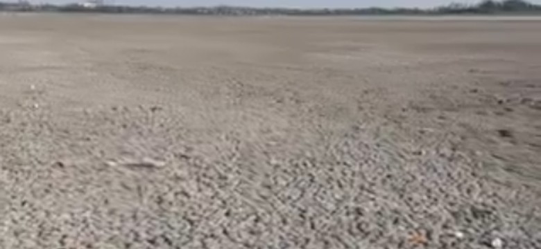 Wyschło największe słone jezioro. Katastrofa klimatyczna w Europie