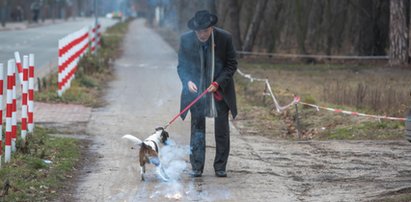 Polityk-skandalista znęcał się nad psem? Będzie miał kłopoty