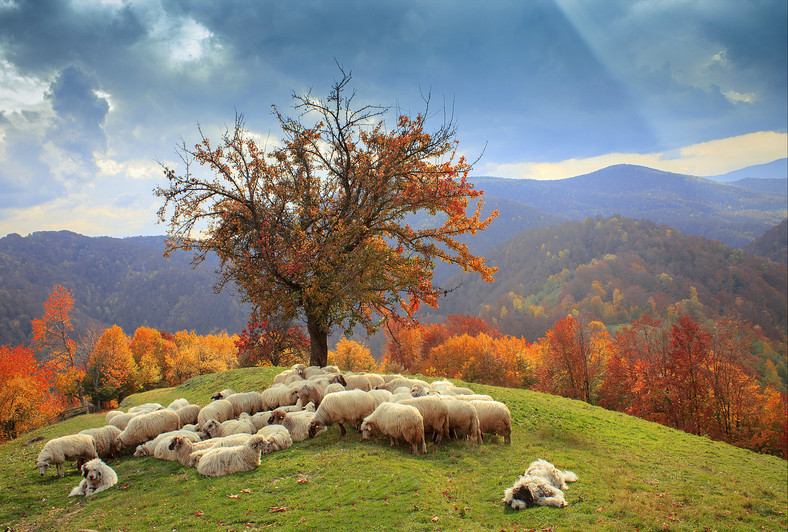 Transylwania jesienią