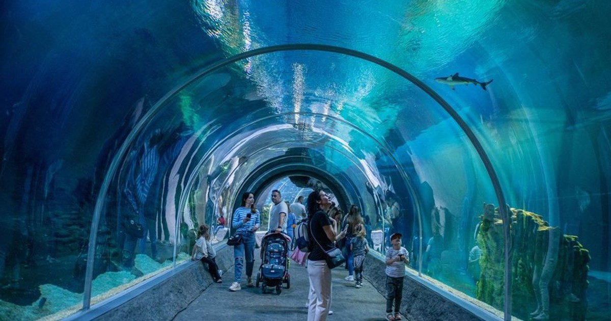 Dokąd jechać z dziećmi na długi weekend majowy? Wirtualna zjeżdżalnia, wodne atrakcje i unikalne zoo