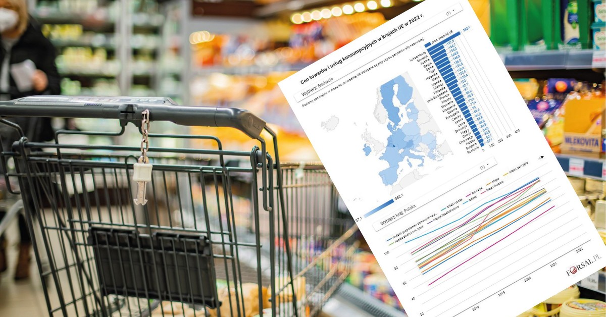 Eurostat porównał ceny w państwach UE. Polska wśród najtańszych krajów [INTERAKTYWNA MAPA]