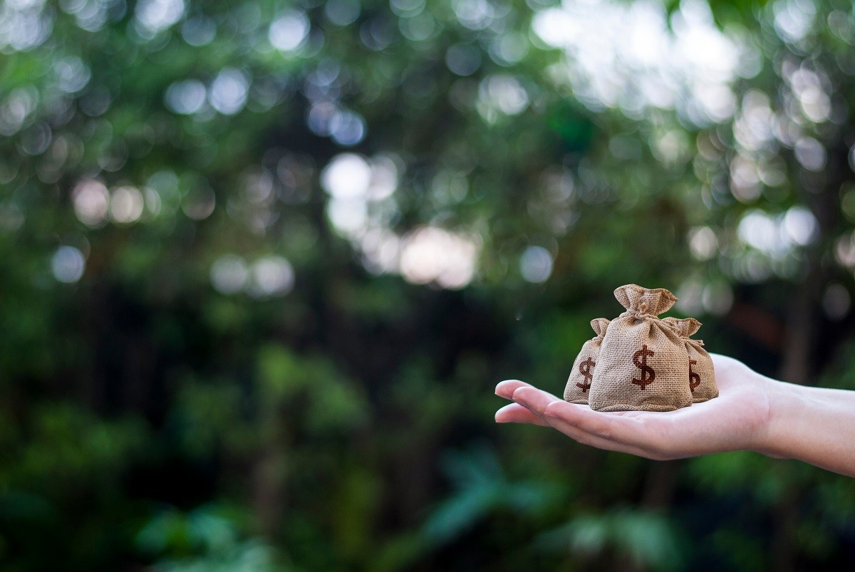 Zasiłek macierzyński 2024