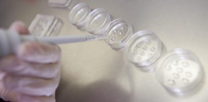 Radny PiS o in vitro: to ludobójstwo!