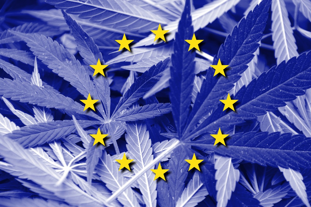 Dotychczas państwa członkowskie ustalały dozwoloną dawkę THC samodzielnie.