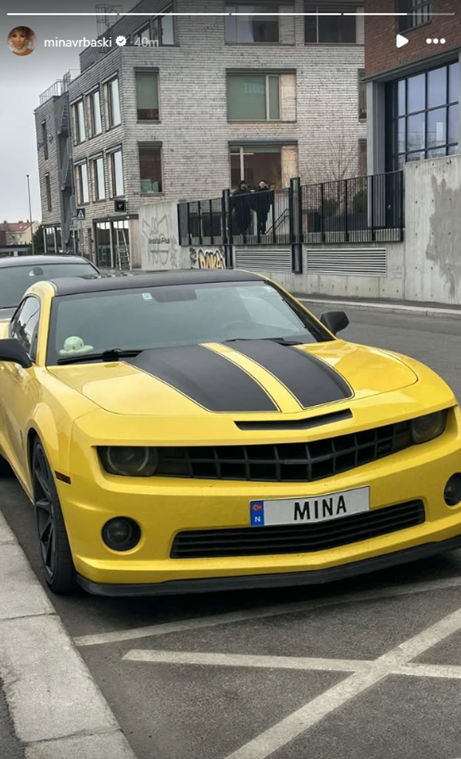 Mina Vrbaški objava