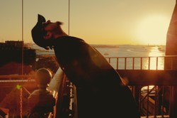 "Jedna noc", czyli Cichy i Mrozu razem. Posłuchaj piosenki