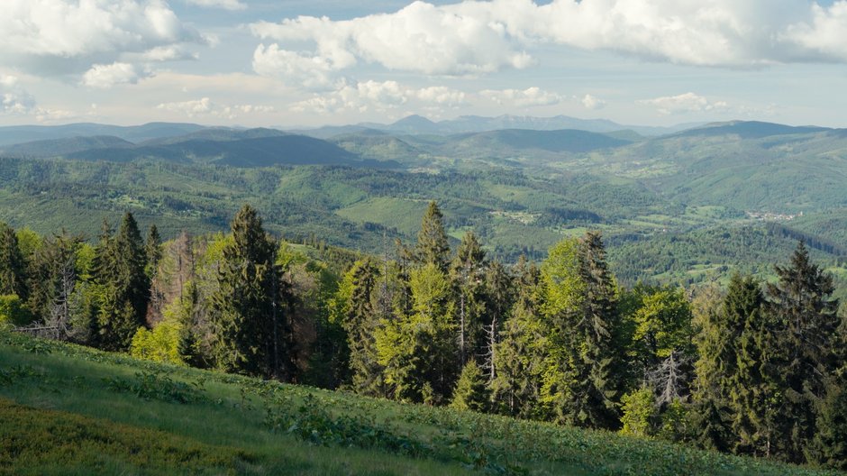 Beskid Żywiecki