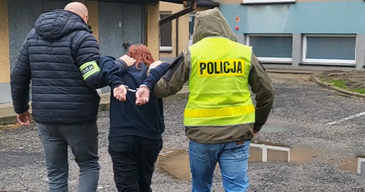 Horror w Wieluniu. Nastolatka oskarżona o morderstwo partnera