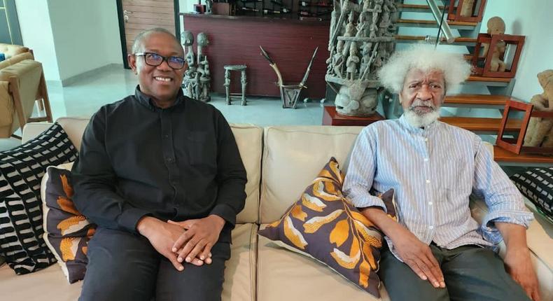 The Labour Party presidential candidate visits the iconic playwright, Prof Wole Soyinka. [Twitter:PeterObi]
