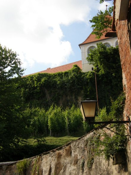 Ptuj - wejście na górujący nad miastem zamek