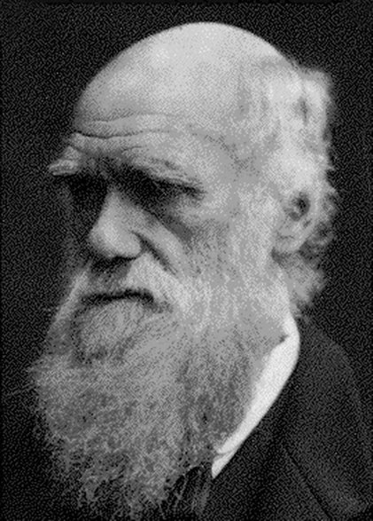 Karol Darwin