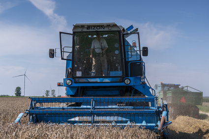 Rolnicy na ostrym zakręcie. Ceny zbóż i owoców w dół, większość kosztów rośnie