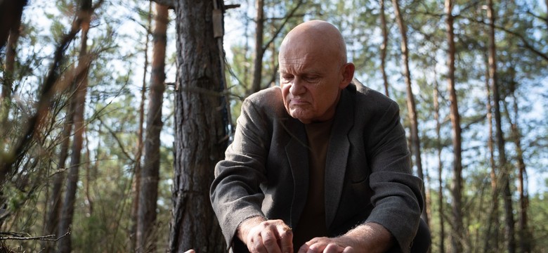 Netflix zapowiada polski serial "W głębi lasu". W obsadzie Grochowska, Damięcki i Ferency
