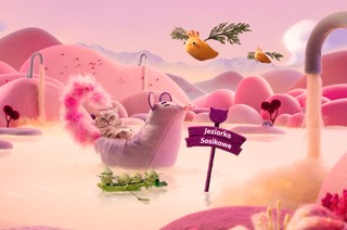 9 na 10 opiekunów kotów w Polsce uważa, że ich kot ma unikalną osobowość – sprawdź, co czyni pupila szczęśliwym