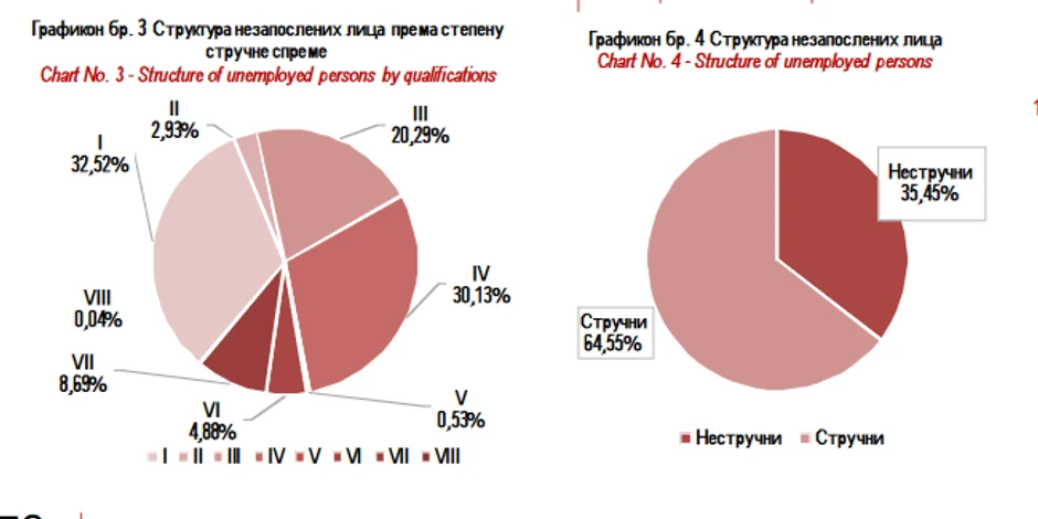 Nezapolenost u junu na osnovu stepena stručne spreme 