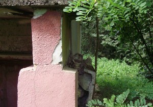 463671_trosna-kuca-3--foto-milan-miljusevic