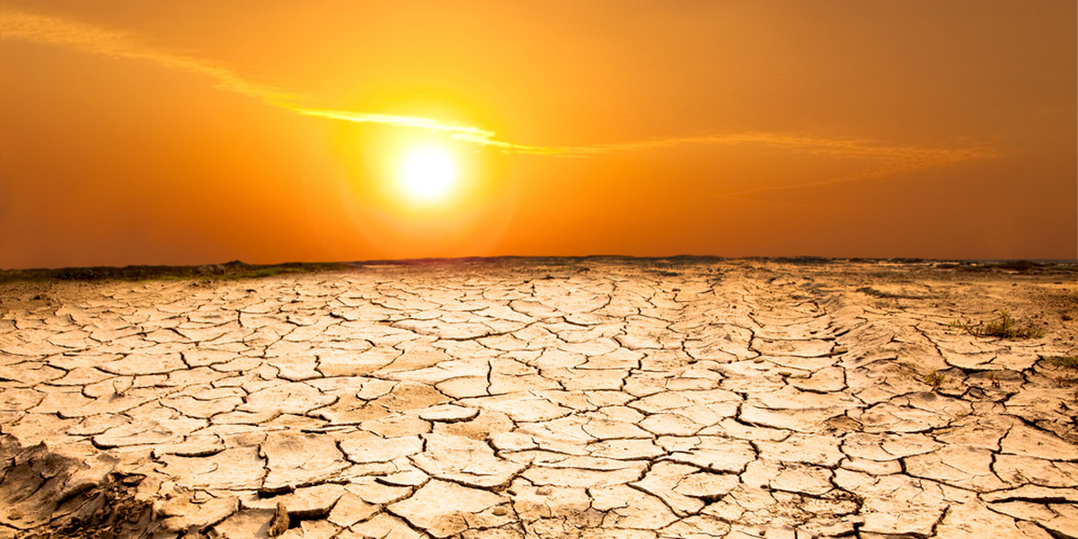 Naukowcy ostrzegają przed skutkami rosnących temperatur na Ziemi.