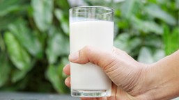 ile szklanek mleka dziennie? podano idealną ilość