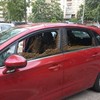 Roj pčela u automobilu - ilustracija a